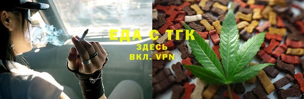 сатива Бородино