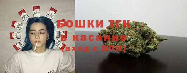 гашиш Богданович