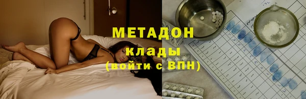 сатива Бородино