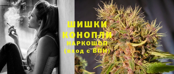 гашиш Богданович