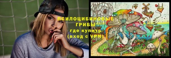 соль курить ск Богородицк