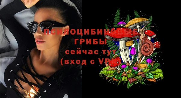 эйфоретик Богородск
